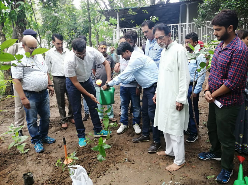 Plantation at Pahari Mandir Ranchi by DC cum
